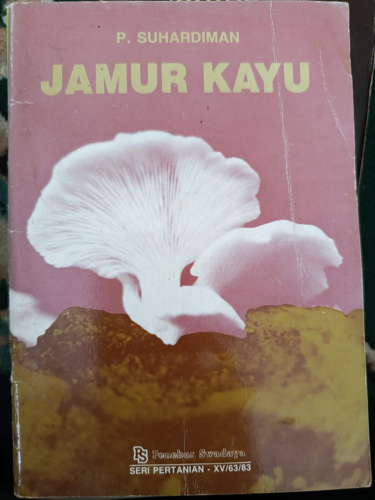 JAMUR KAYU