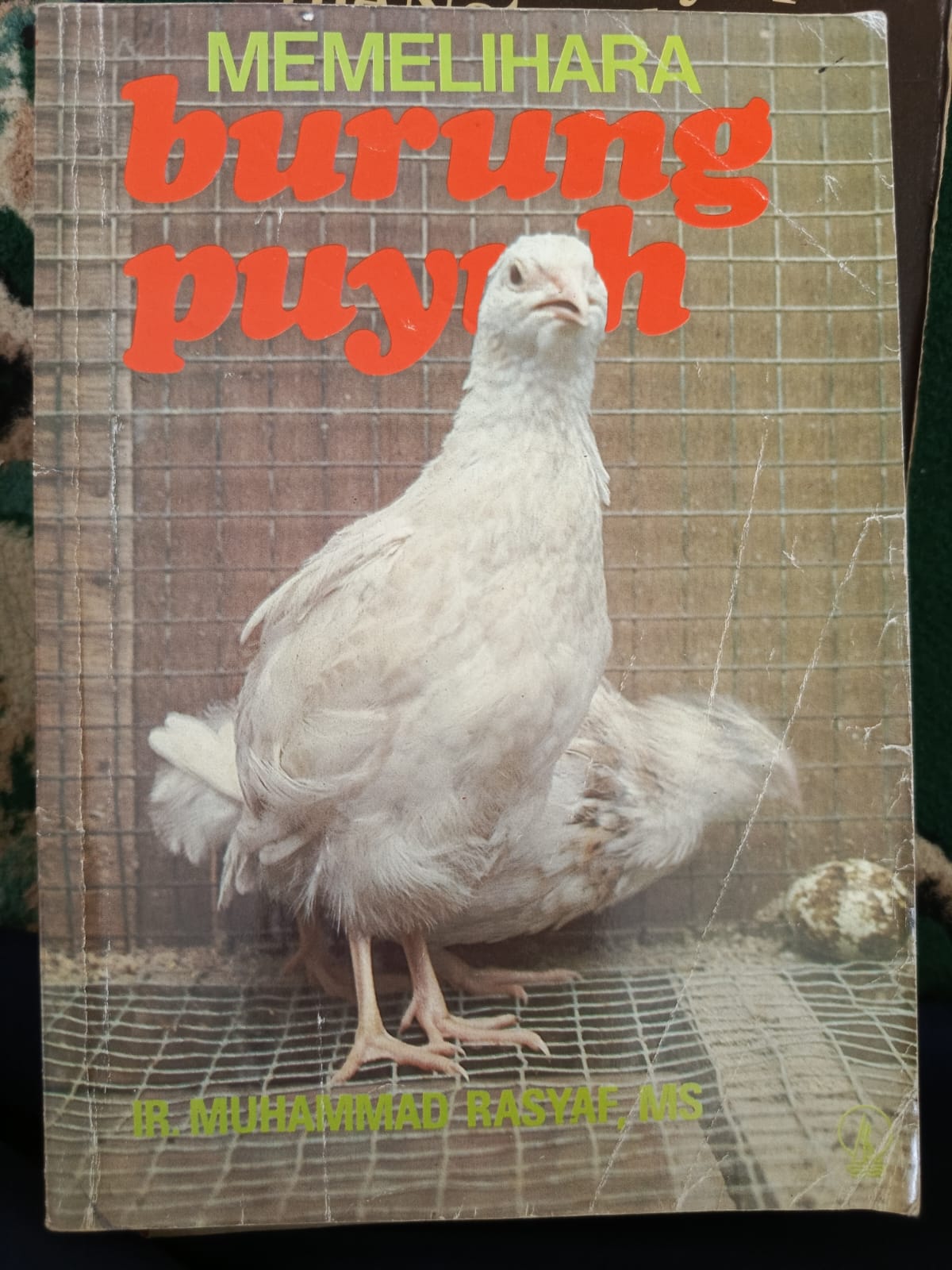 MEMELIHARA burung puyuh