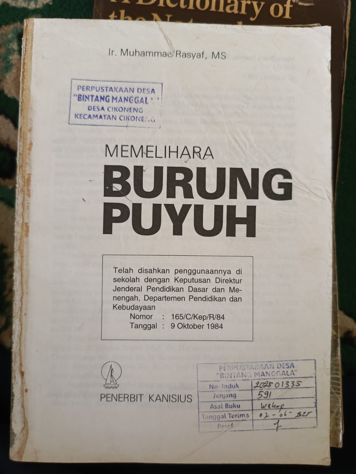 MEMELIHARA BURUNG PUYUH