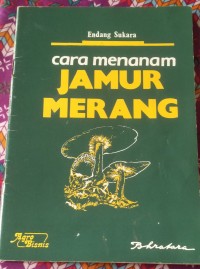 CARA MENANAM JAMUR MERANG